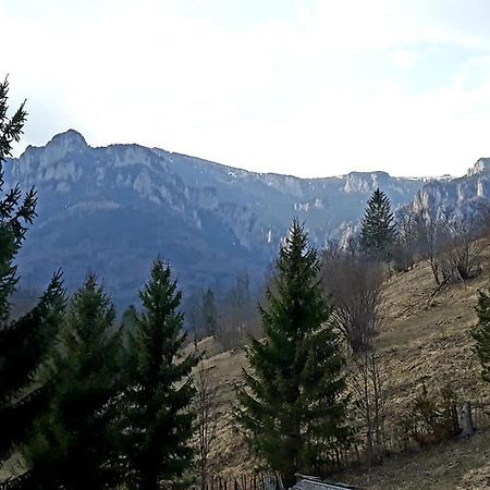 Pensiunea Bobu Hotel Izvoru Muntelui Exterior foto