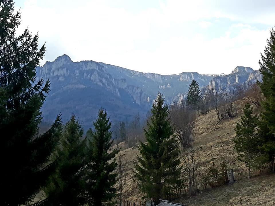 Pensiunea Bobu Hotel Izvoru Muntelui Exterior foto